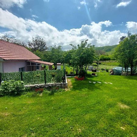 Village Flower Ivy Montenegro Nikšić Eksteriør bilde