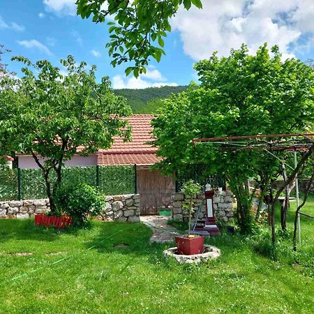 Village Flower Ivy Montenegro Nikšić Eksteriør bilde