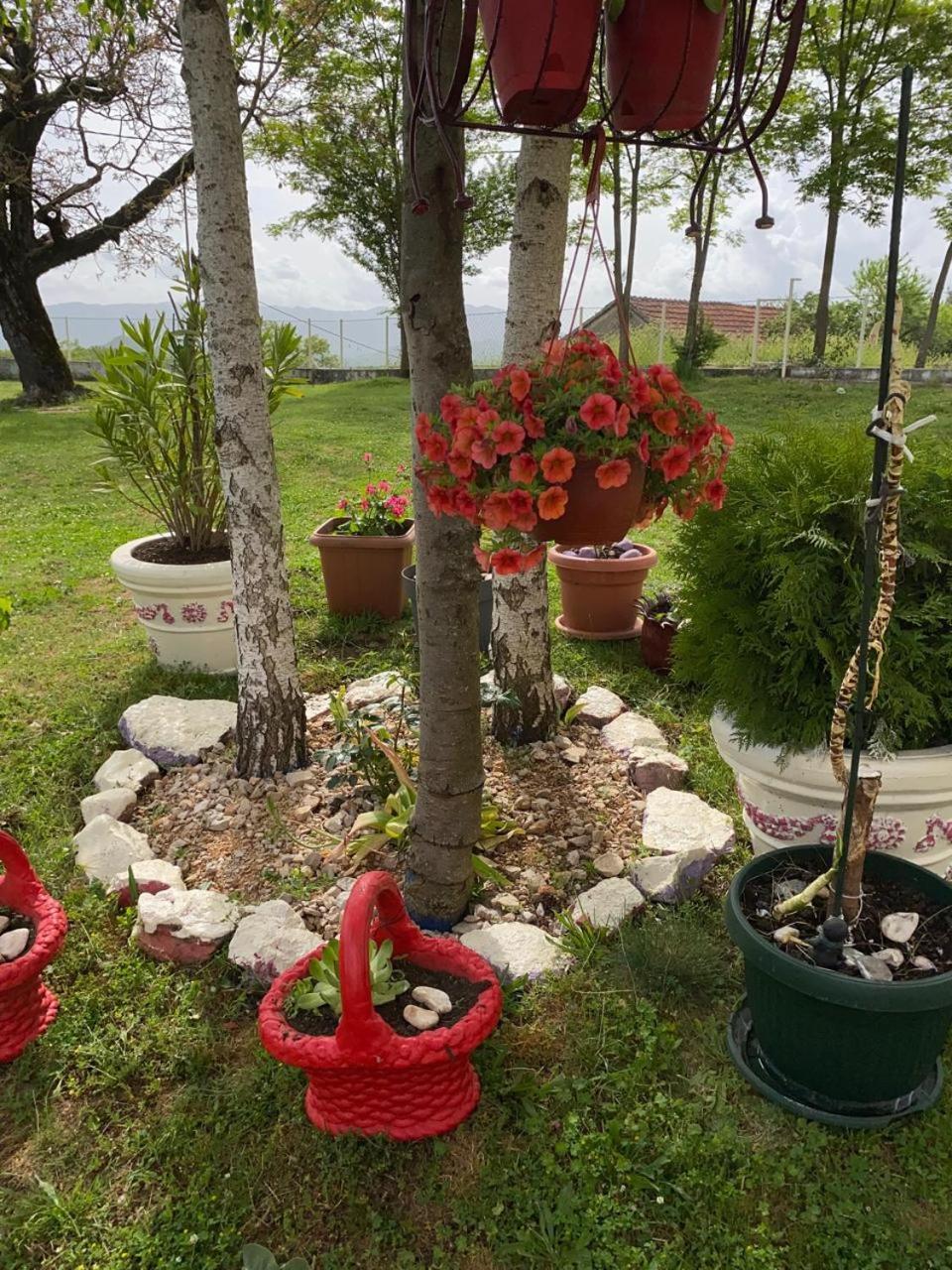 Village Flower Ivy Montenegro Nikšić Eksteriør bilde