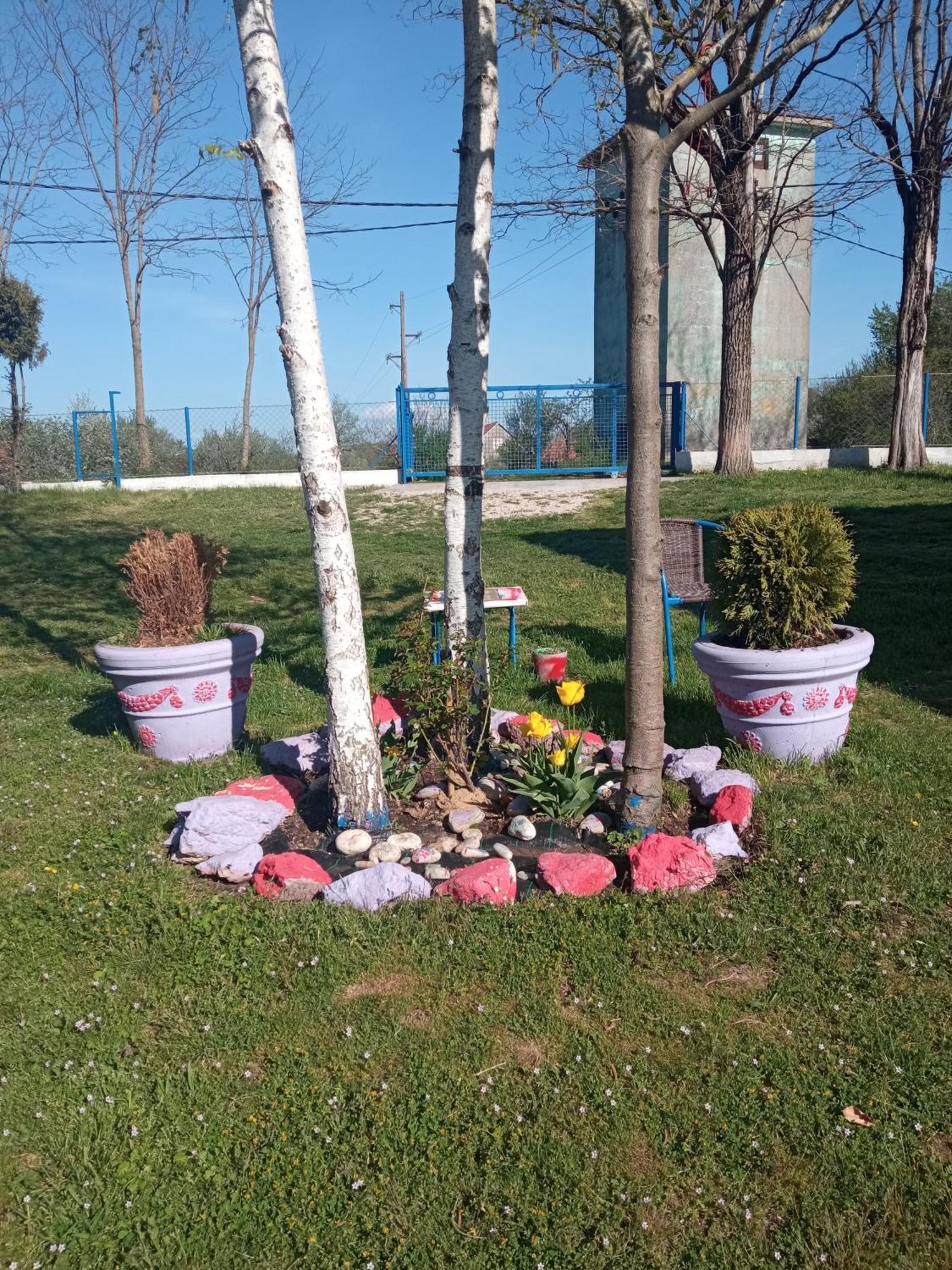 Village Flower Ivy Montenegro Nikšić Rom bilde