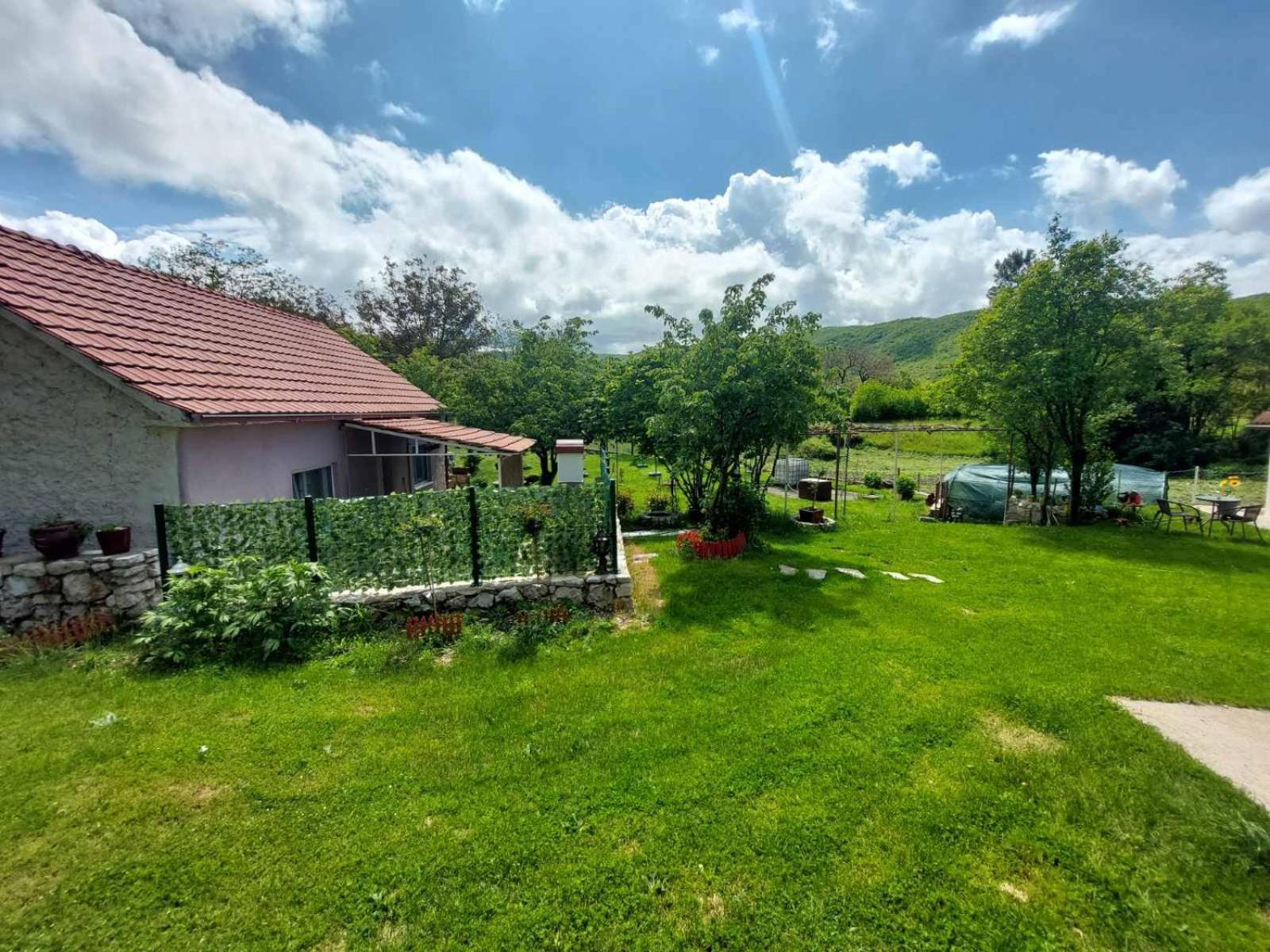 Village Flower Ivy Montenegro Nikšić Eksteriør bilde