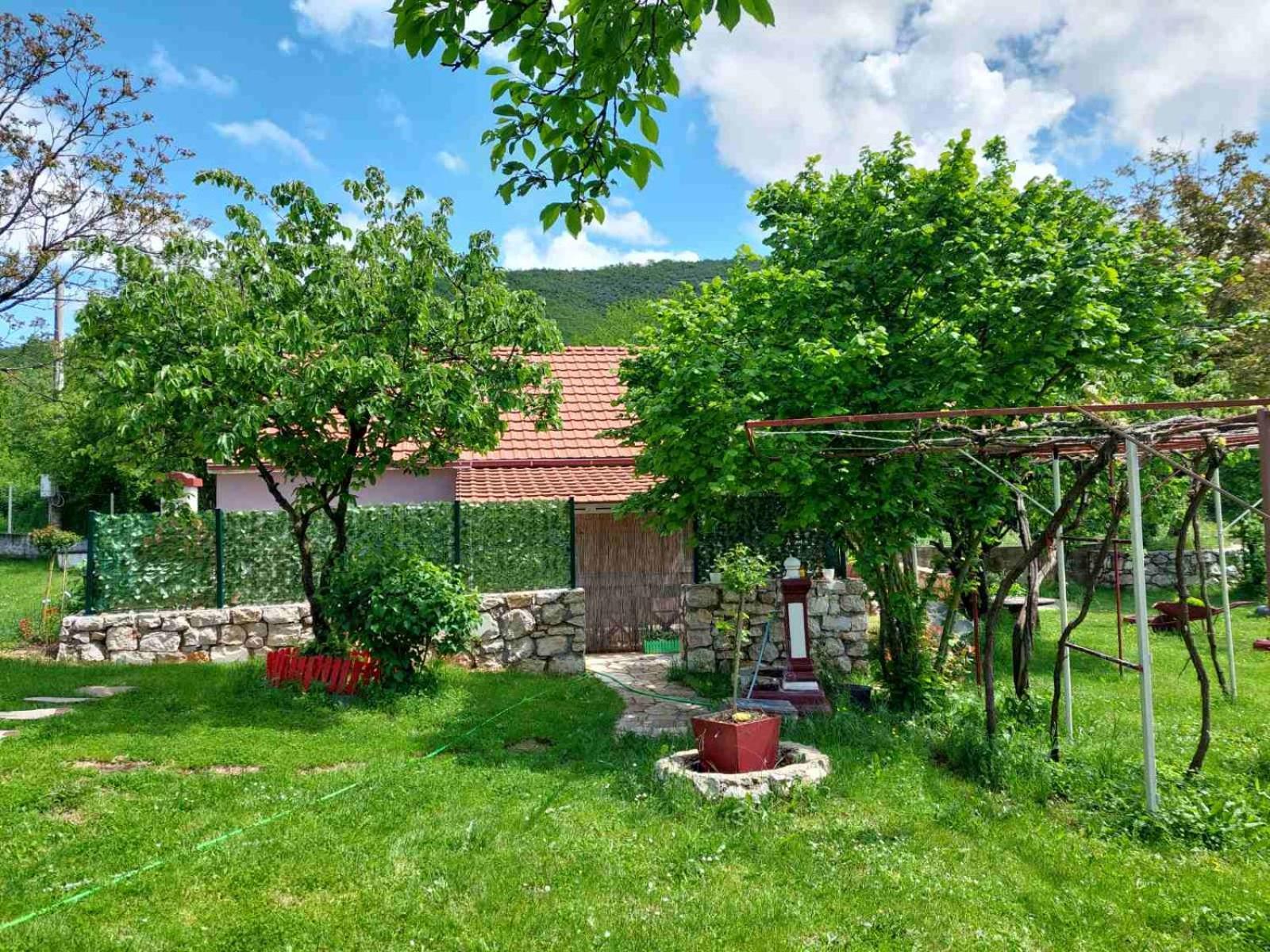 Village Flower Ivy Montenegro Nikšić Eksteriør bilde